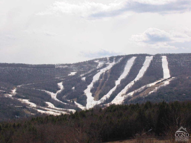 view of mountain feature