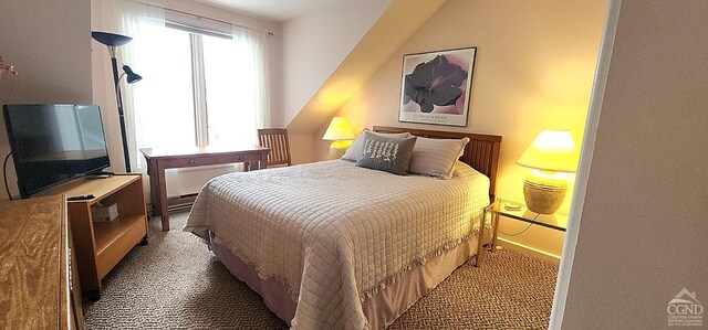 bedroom featuring carpet flooring