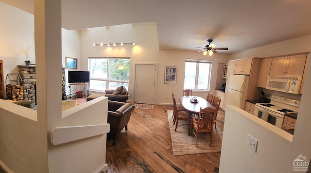 kitchen featuring wood-type flooring, white appliances, a healthy amount of sunlight, and light brown cabinets