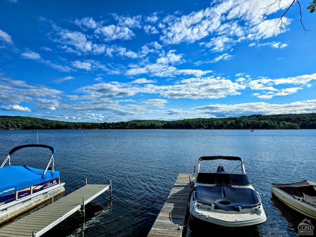 dock area featuring a water view