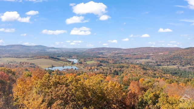 property view of mountains with a water view