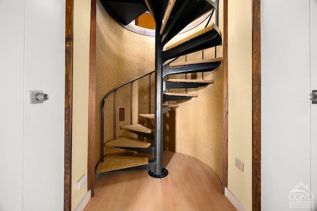 stairs with hardwood / wood-style floors