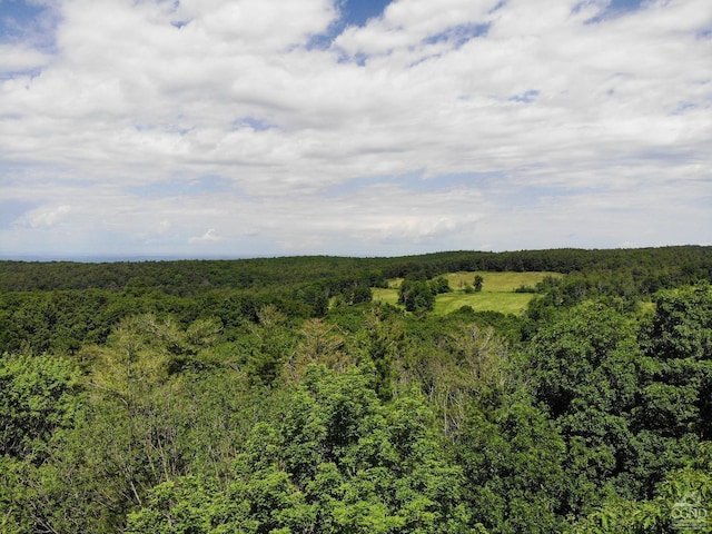 0 Reed Rd, Austerlitz NY, 12017 land for sale