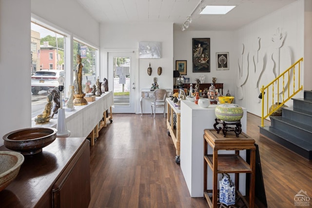 kitchen featuring a skylight, a wealth of natural light, and dark hardwood / wood-style floors