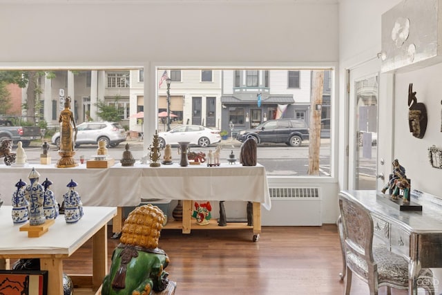 interior space featuring radiator and plenty of natural light