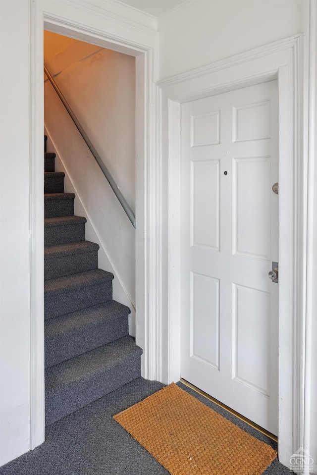 view of carpeted entrance foyer