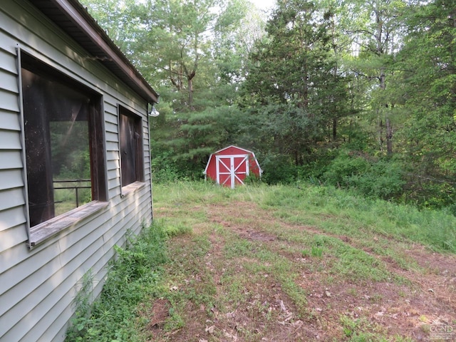 view of yard with a storage shed