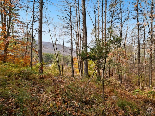 view of landscape featuring a mountain view