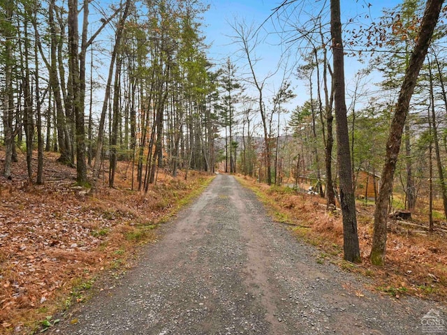 view of road