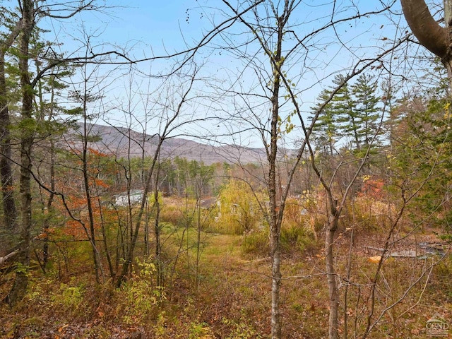 view of landscape featuring a mountain view