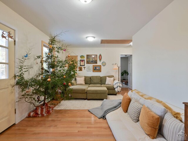 living room with wood-type flooring