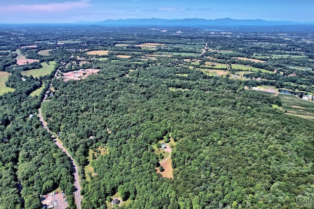 birds eye view of property featuring a mountain view