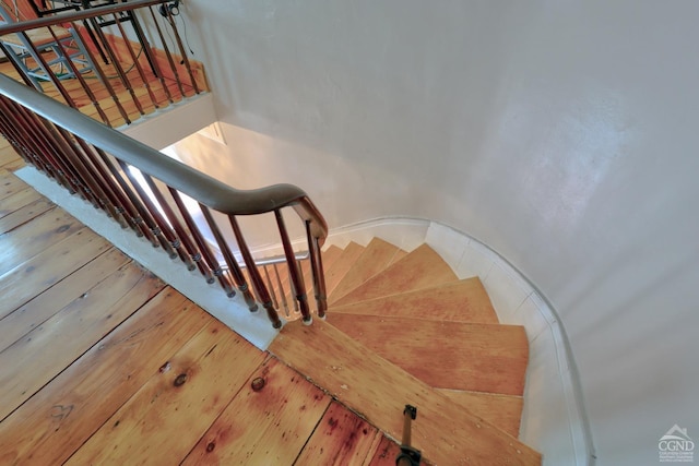 staircase featuring wood-type flooring