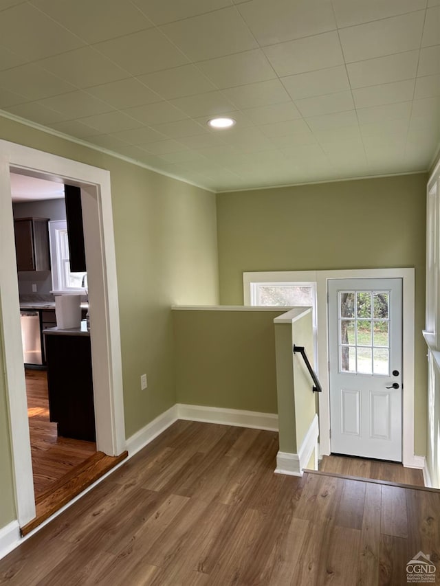 foyer entrance featuring hardwood / wood-style floors