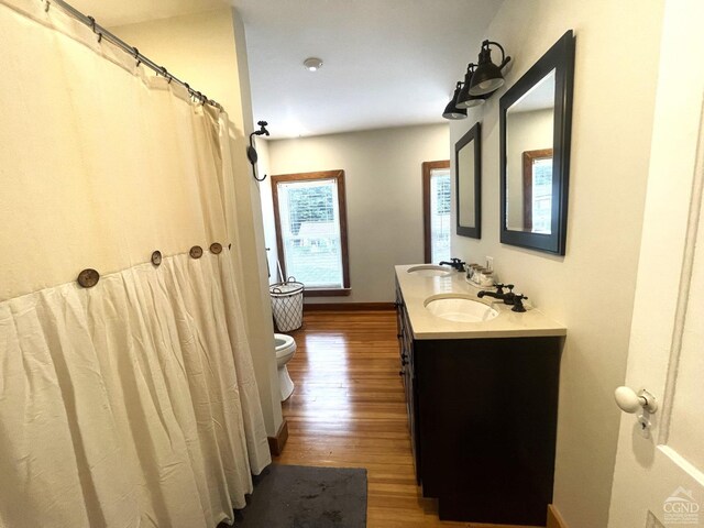 bathroom with hardwood / wood-style floors, vanity, and toilet