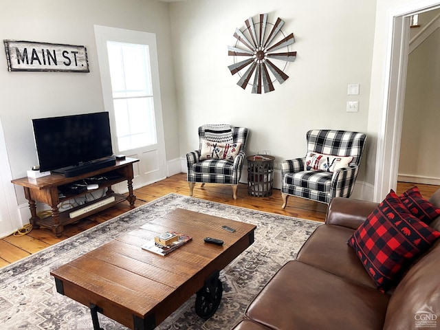 living room featuring hardwood / wood-style flooring