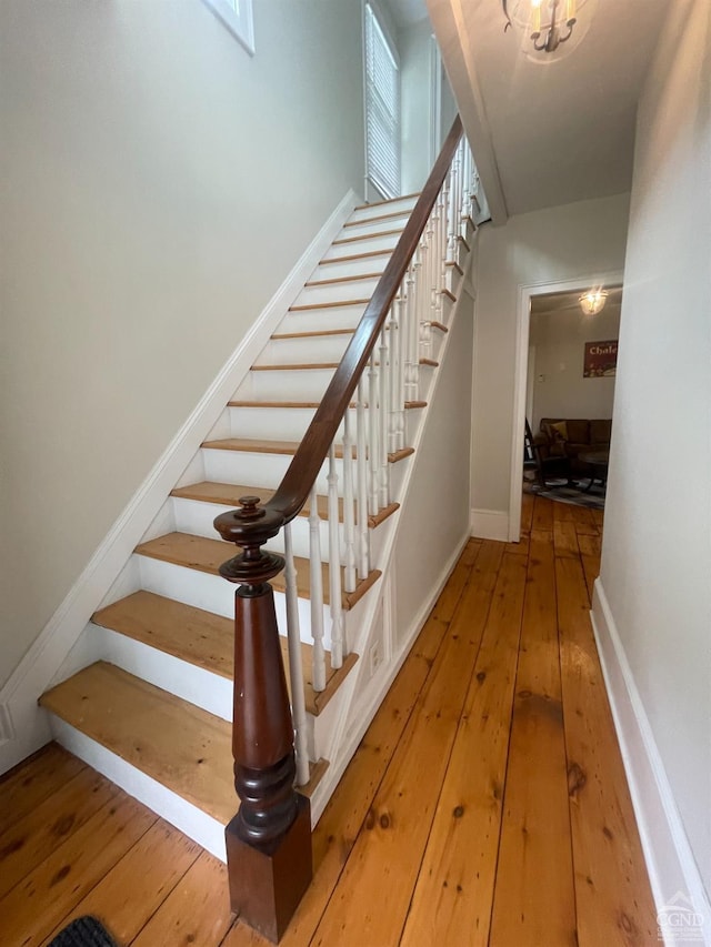 staircase with wood-type flooring