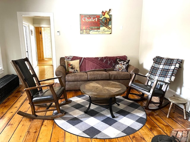 living room featuring hardwood / wood-style floors