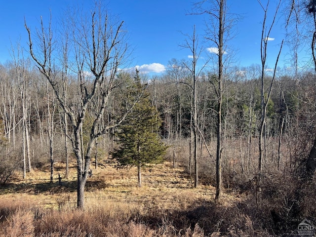 view of local wilderness