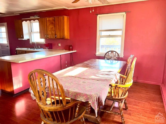 dining area with hardwood / wood-style floors, ceiling fan, ornamental molding, and sink