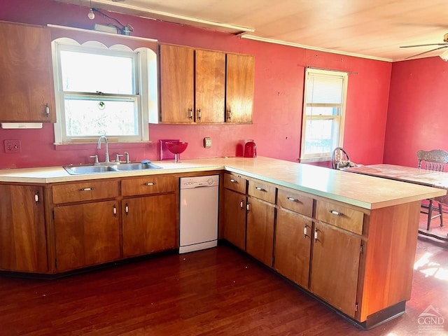 kitchen featuring white dishwasher, dark hardwood / wood-style flooring, kitchen peninsula, and sink