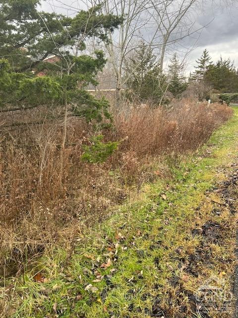 36 Castle Point Rd Unit Lot71, Athens NY, 12015 land for sale