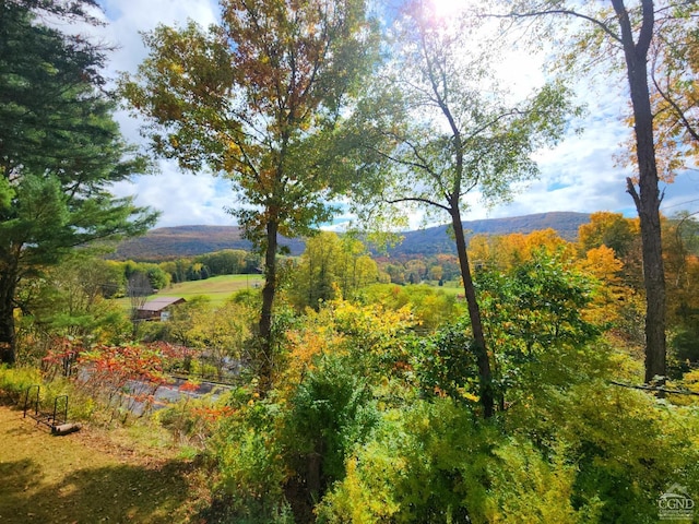 property view of mountains