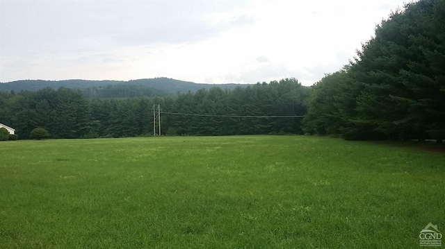 1446 County Route 9, New Lebanon NY, 12125 land for sale