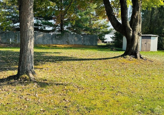 view of yard with a storage shed