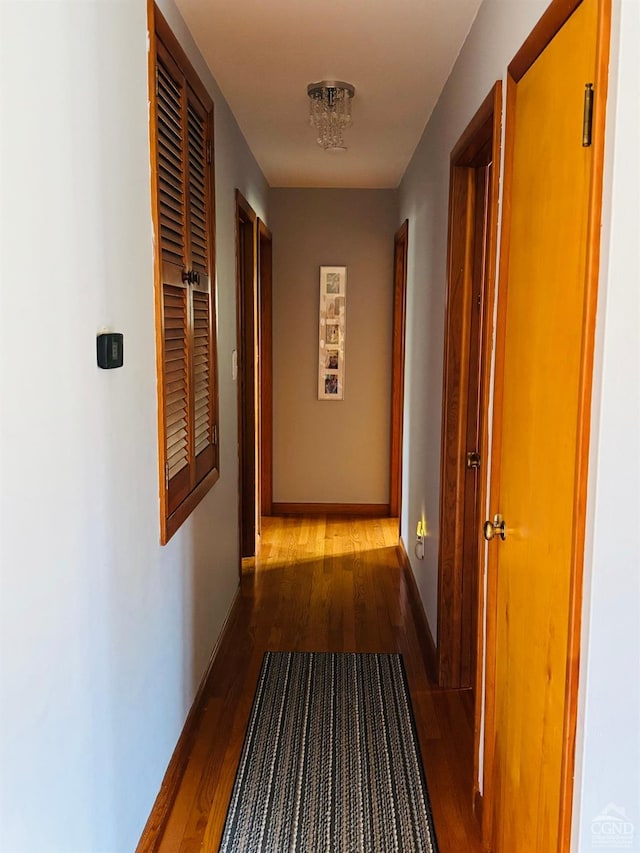 hallway with wood-type flooring