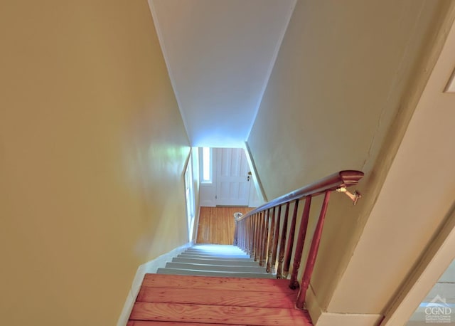 stairway featuring wood-type flooring