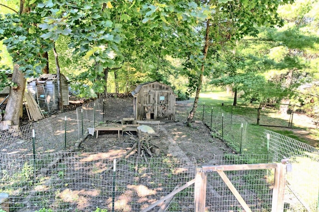 view of yard featuring a shed