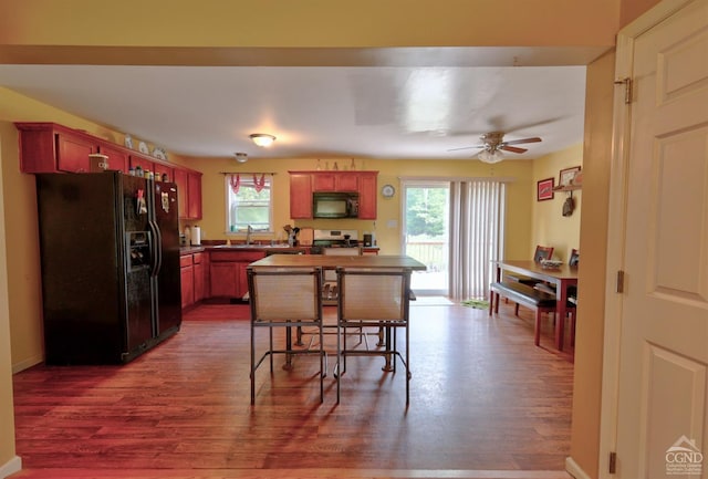 kitchen featuring black appliances, wood-type flooring, and a wealth of natural light