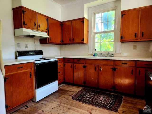 kitchen with decorative backsplash, light wood-type flooring, ornamental molding, white range with electric stovetop, and sink