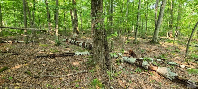 Listing photo 3 for 0 Birch Hill Rd Lot A, Lot A, Copake NY 12521