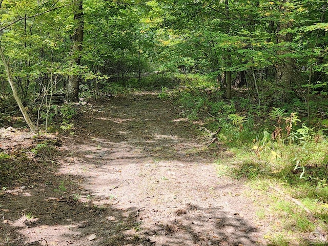 0 Birch Hill Rd Lot A, Lot A, Copake NY, 12521 land for sale