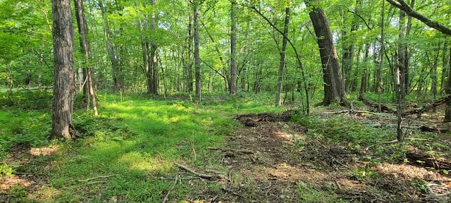 Listing photo 2 for 0 Birch Hill Rd Lot A, Lot A, Copake NY 12521