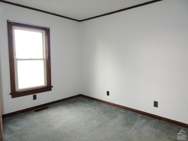 carpeted spare room with ornamental molding