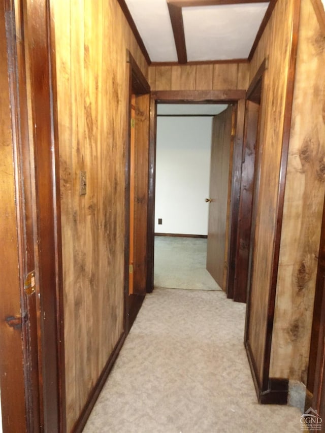 corridor with wood walls and light colored carpet