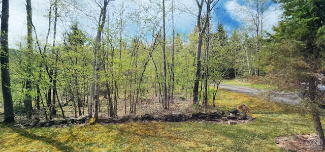view of nature featuring a view of trees