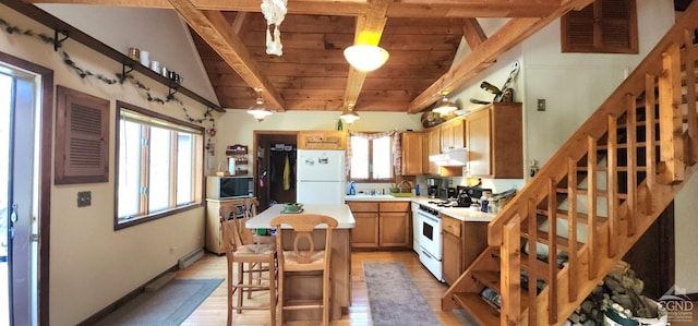 kitchen featuring plenty of natural light, light wood-type flooring, under cabinet range hood, and white appliances