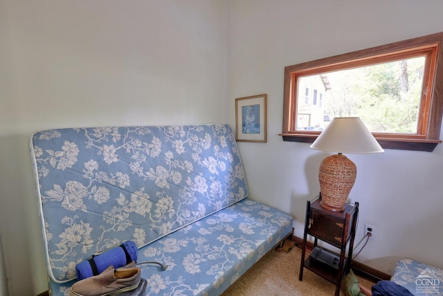 living area with carpet flooring