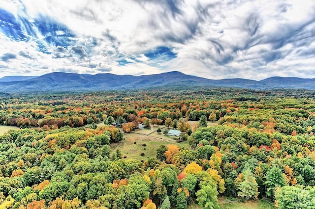 aerial view with a mountain view