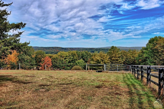 view of yard with a rural view