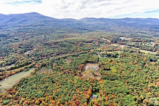 birds eye view of property featuring a mountain view