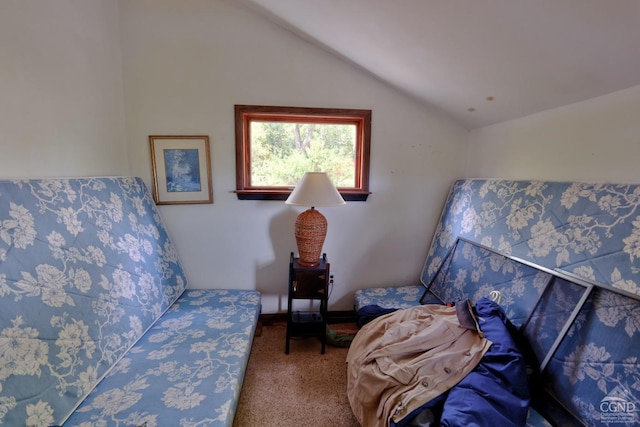 bedroom featuring carpet and vaulted ceiling