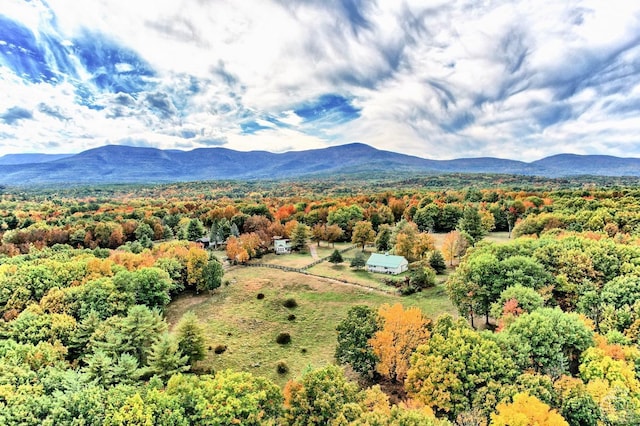 birds eye view of property featuring a mountain view