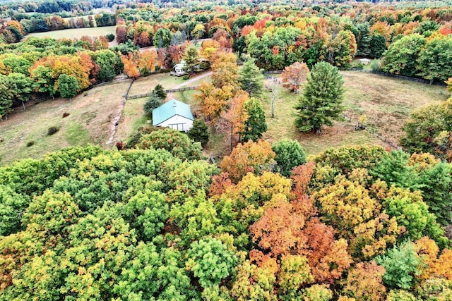 bird's eye view