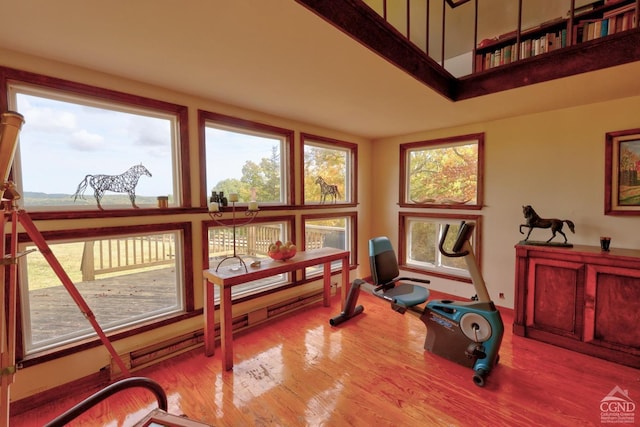 workout room with a wealth of natural light and light hardwood / wood-style flooring