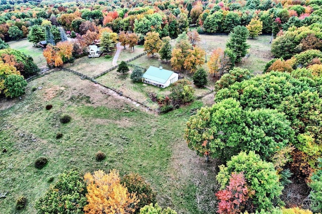 bird's eye view